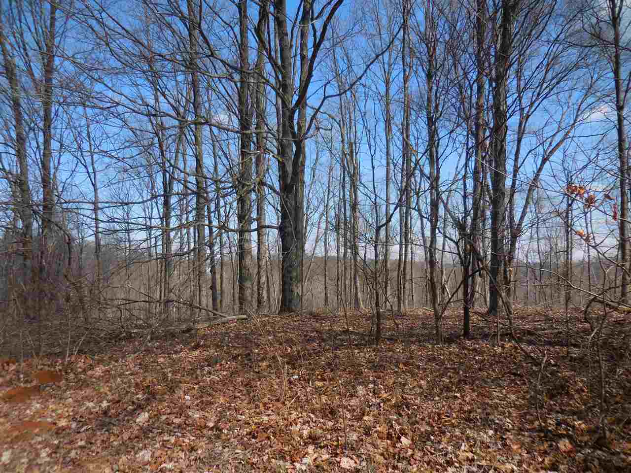 0 Windom Road Shoals, IN 47581 - Photo 9 of 12