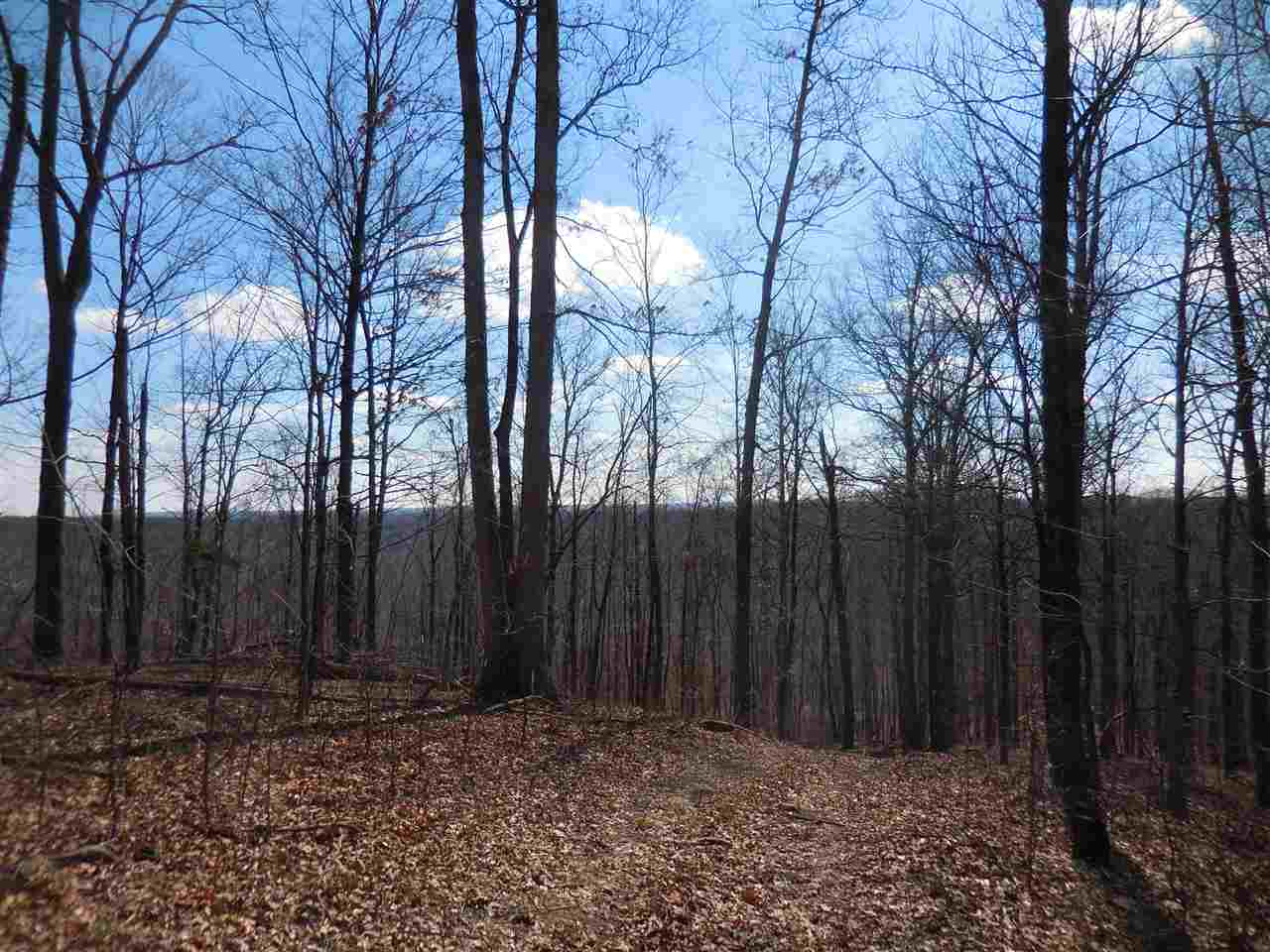 0 Windom Road Shoals, IN 47581 - Photo 10 of 12