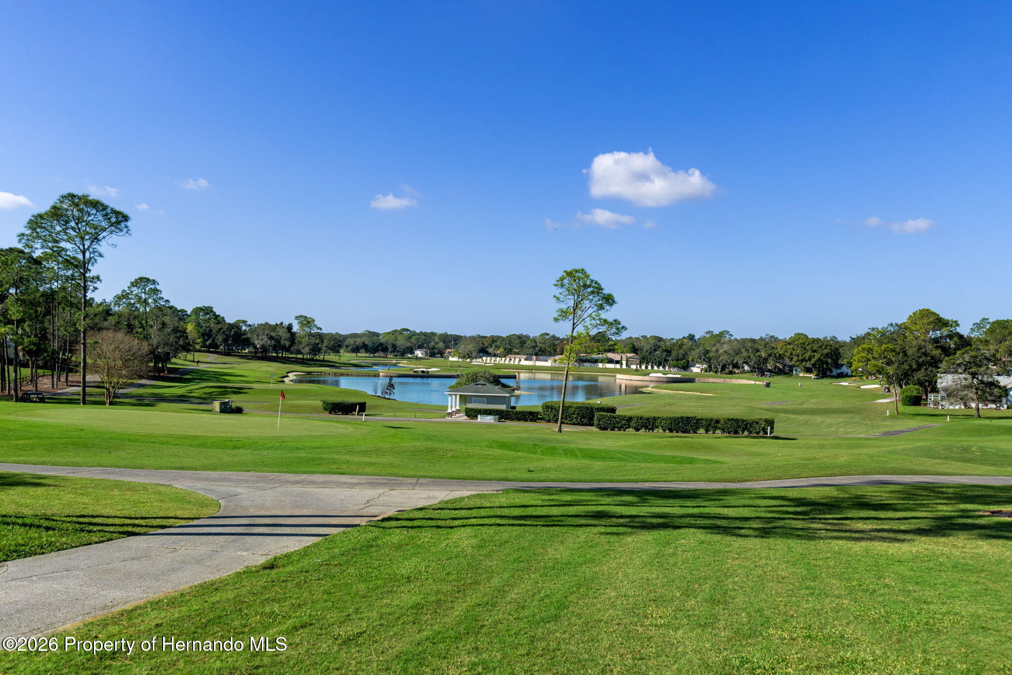 6300 Darien Way Spring Hill, FL 34606 - Photo 53 of 95