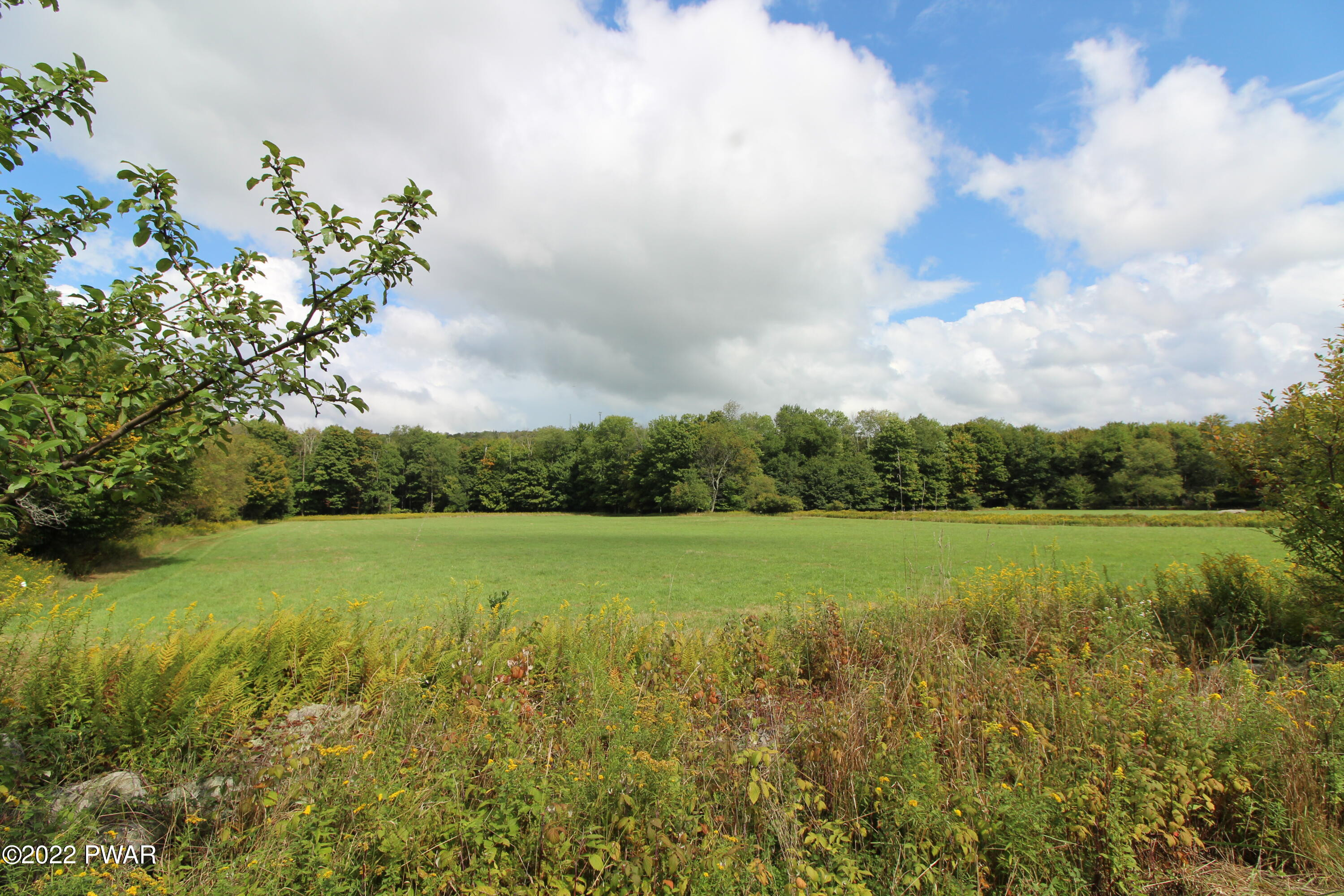 South Turnpike Road Newfoundland, PA 18445 - Photo 2 of 13