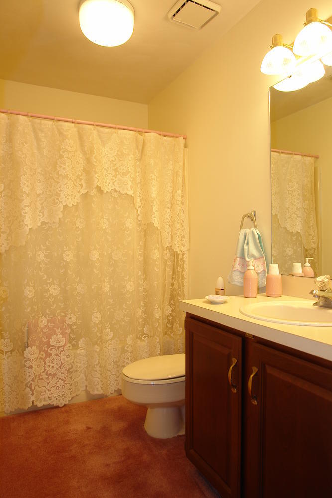 406 Stonehaven Lane Blue Ridge, VA 24064 - Photo 14 of 26 Full Bath