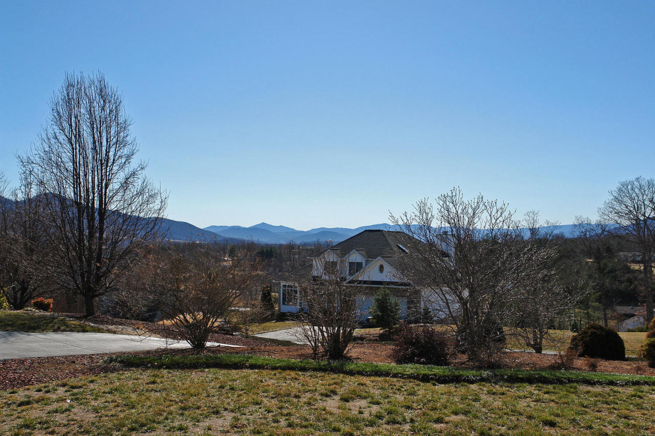 406 Stonehaven Lane Blue Ridge, VA 24064 - Photo 6 of 26 Front View