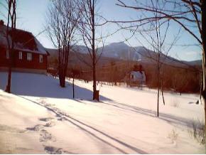 481 Lucier Farm Road Jay, VT 05859 - Photo 3 of 12 Gallery Image 3