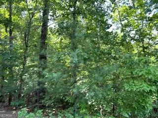 $29,000 | Lot 10 Trillium Heights, Brasstown, NC 28902