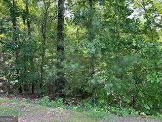 $29,000 | Lot 10 Trillium Heights, Brasstown, NC 28902