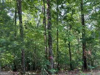 $29,000 | Lot 10 Trillium Heights, Brasstown, NC 28902