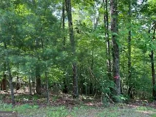 $29,000 | Lot 10 Trillium Heights, Brasstown, NC 28902