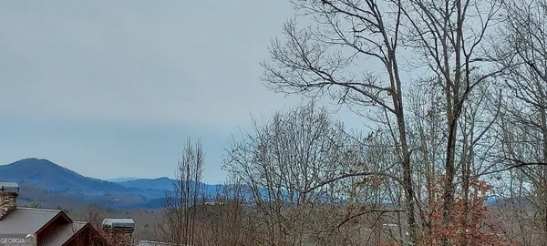 $29,000 | Lot 10 Trillium Heights, Brasstown, NC 28902