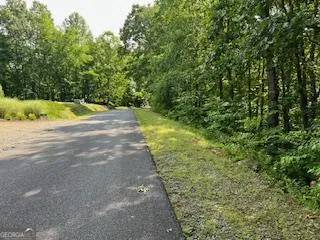 $29,000 | Lot 10 Trillium Heights, Brasstown, NC 28902