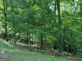 $29,000 | Lot 10 Trillium Heights, Brasstown, NC 28902