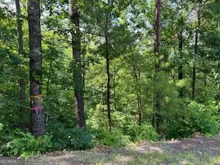 $29,000 | Lot 10 Trillium Heights, Brasstown, NC 28902