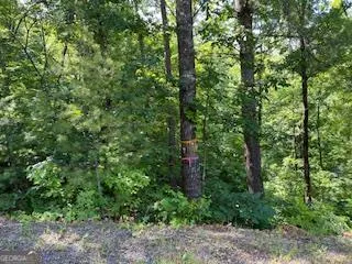 $29,000 | Lot 10 Trillium Heights, Brasstown, NC 28902