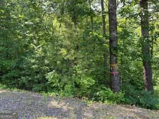 $29,000 | Lot 10 Trillium Heights, Brasstown, NC 28902