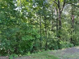 $29,000 | Lot 10 Trillium Heights, Brasstown, NC 28902