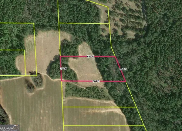 $45,000 | 0 Webster Road, Waynesboro, GA 30830