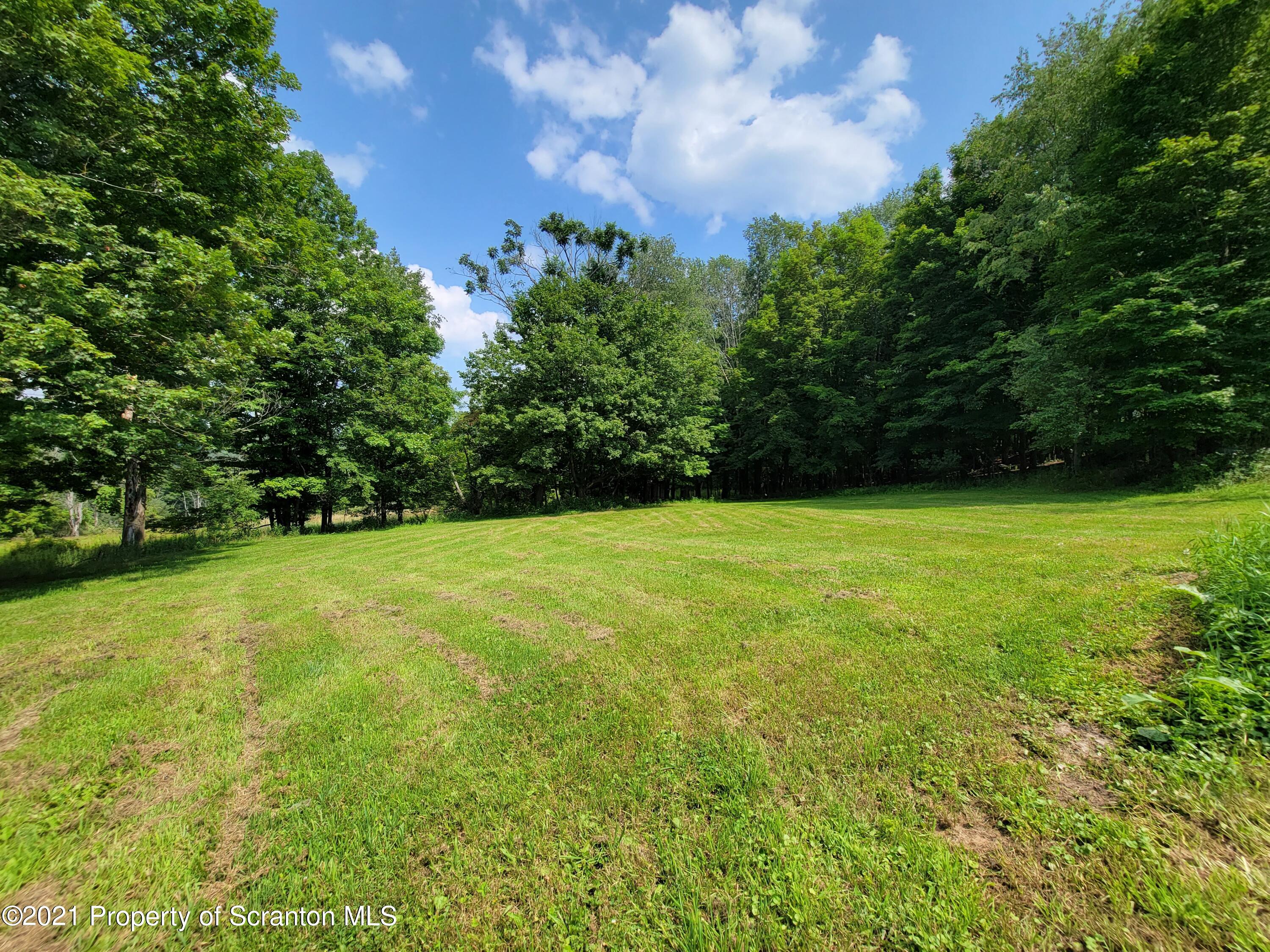 686 Wilcox Road Meshoppen, PA 18630 - Photo 30 of 30 a view of a garden with trees