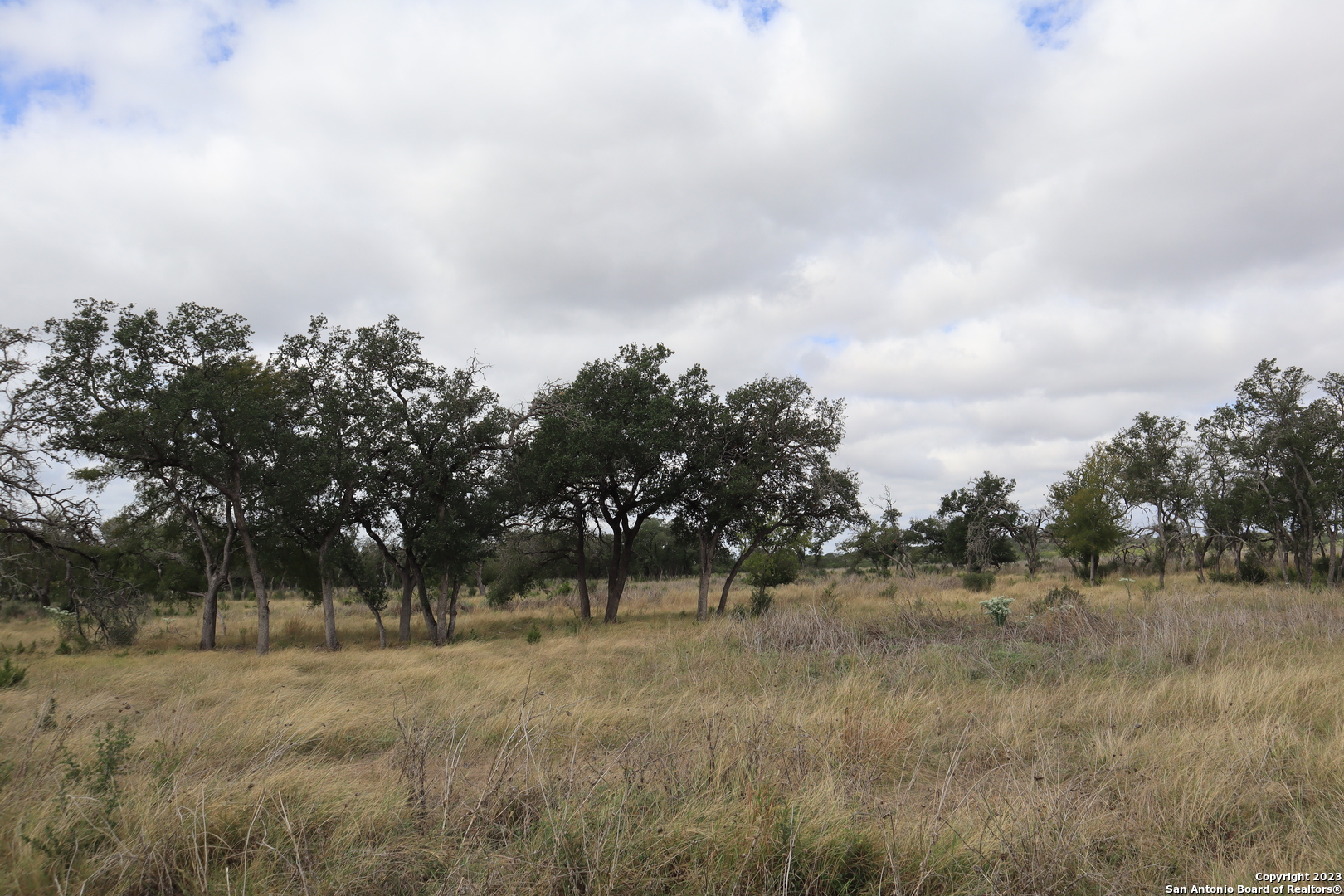 0 Clearwater Canyon Road Bandera, TX 78003 - Photo 2 of 9 a view of outdoor space with green field and trees