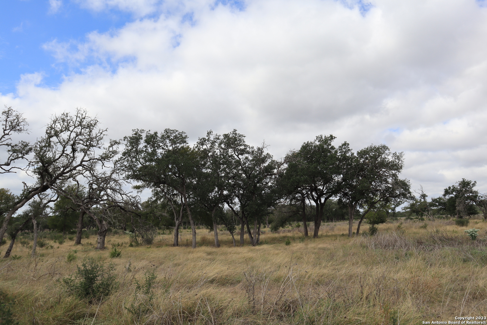 0 Clearwater Canyon Road Bandera, TX 78003 - Photo 4 of 9 a view of dirt and trees
