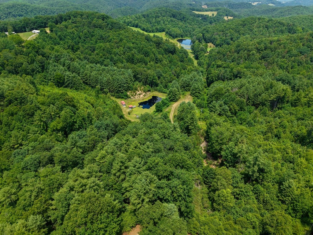 Tbd Tbd Little Vine Road Hillsville, VA 24343 - Photo 43 of 43 Gallery Image 43