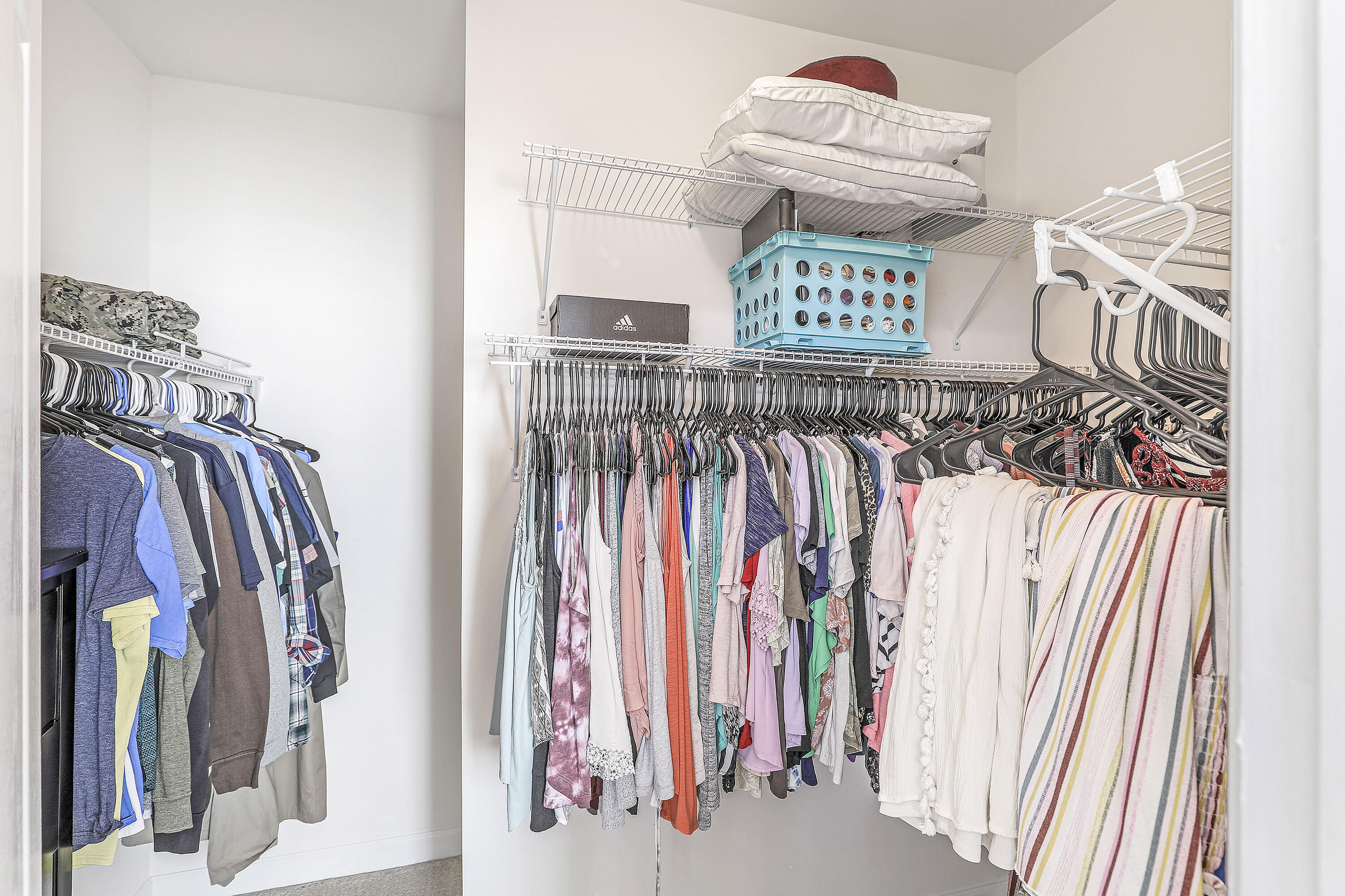 3034 Adventure Way Ladson, SC 29456 - Photo 22 of 34 Walk-in Closet
