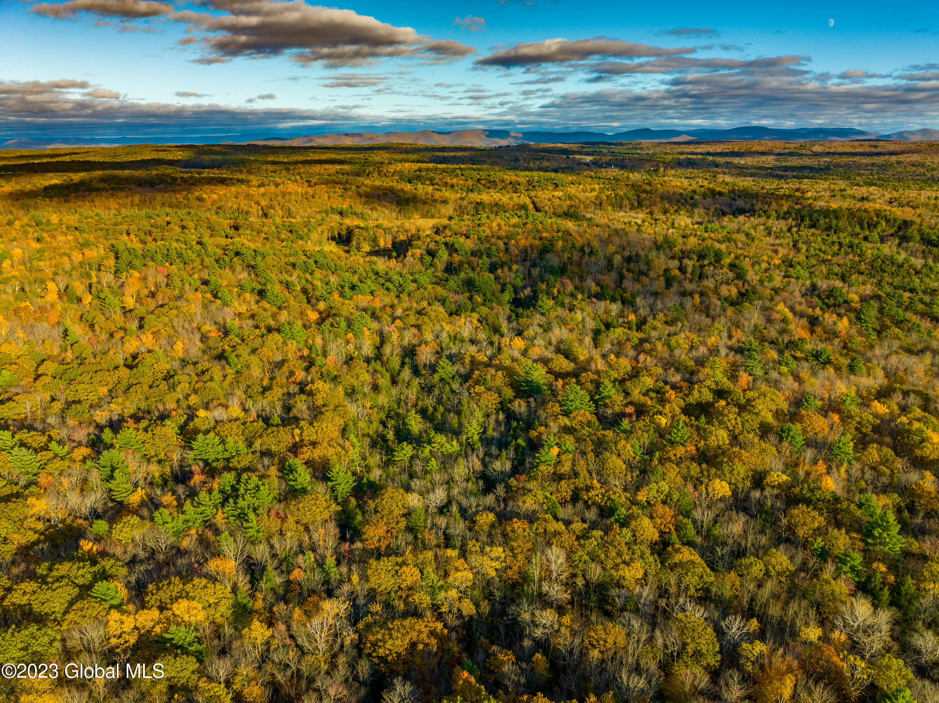170 Foster Road Grafton, NY 12052 - Photo 5 of 8 DJI_0159-HDR