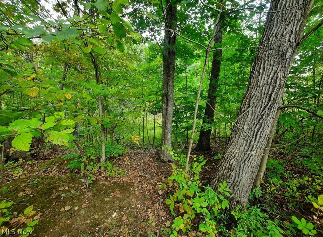 14440 Mayfield Road Chardon, OH 44024 - Photo 2 of 7