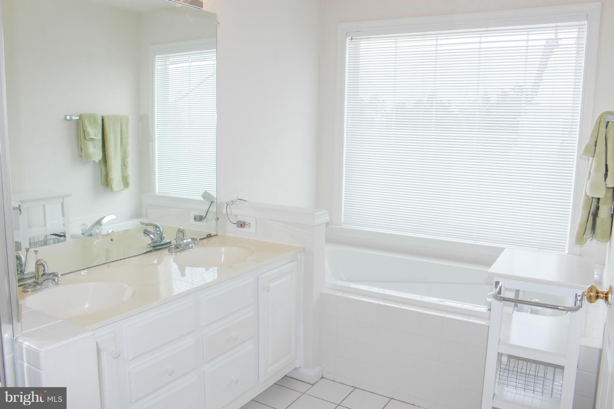 12511 Fox View Way Reston, VA 20191 - Photo 18 of 30 Bath (Master)