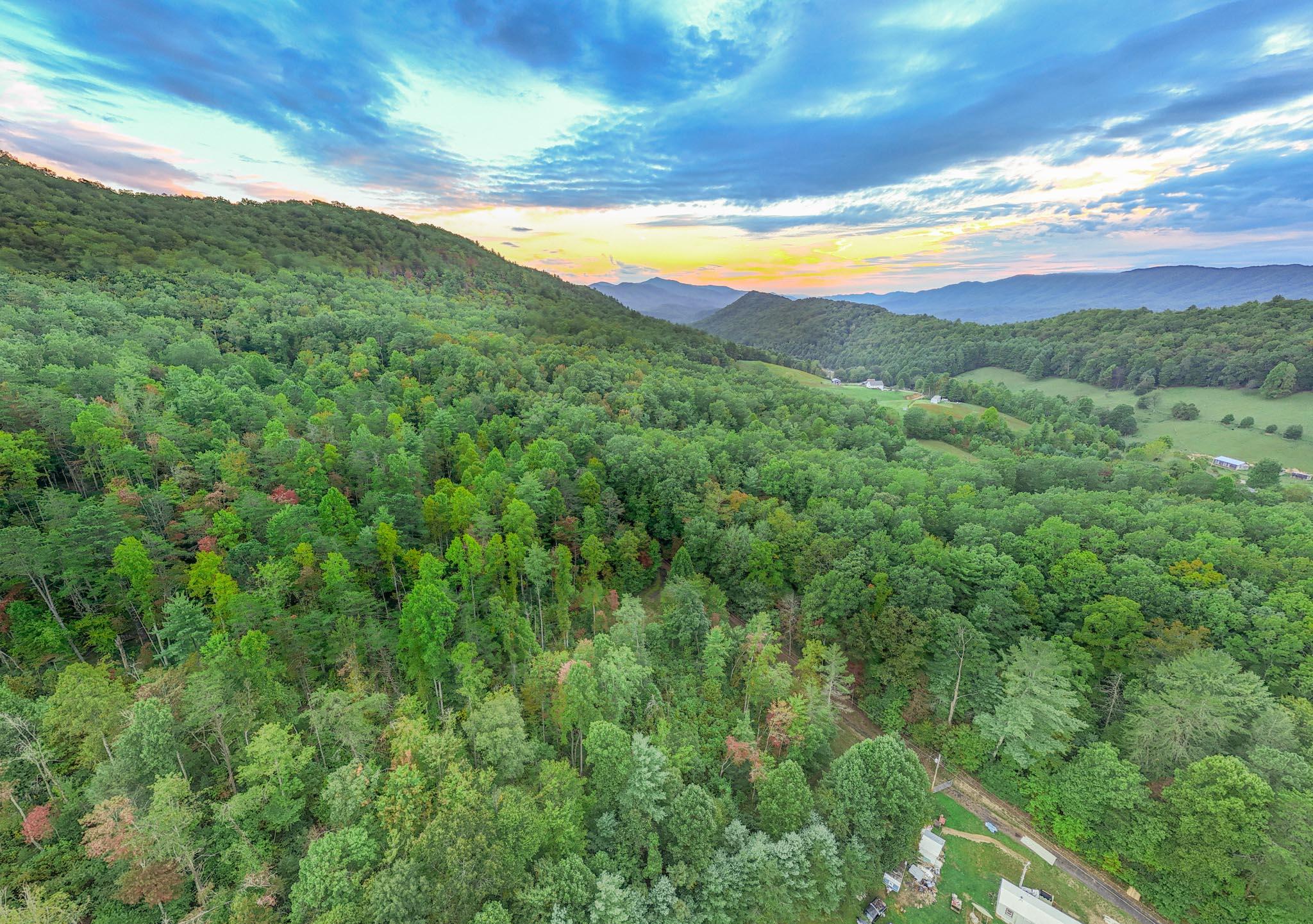 Tbd Grindstaff Road Butler, TN 37640 - Photo 11 of 24 DJI_20230928185811_0079_D