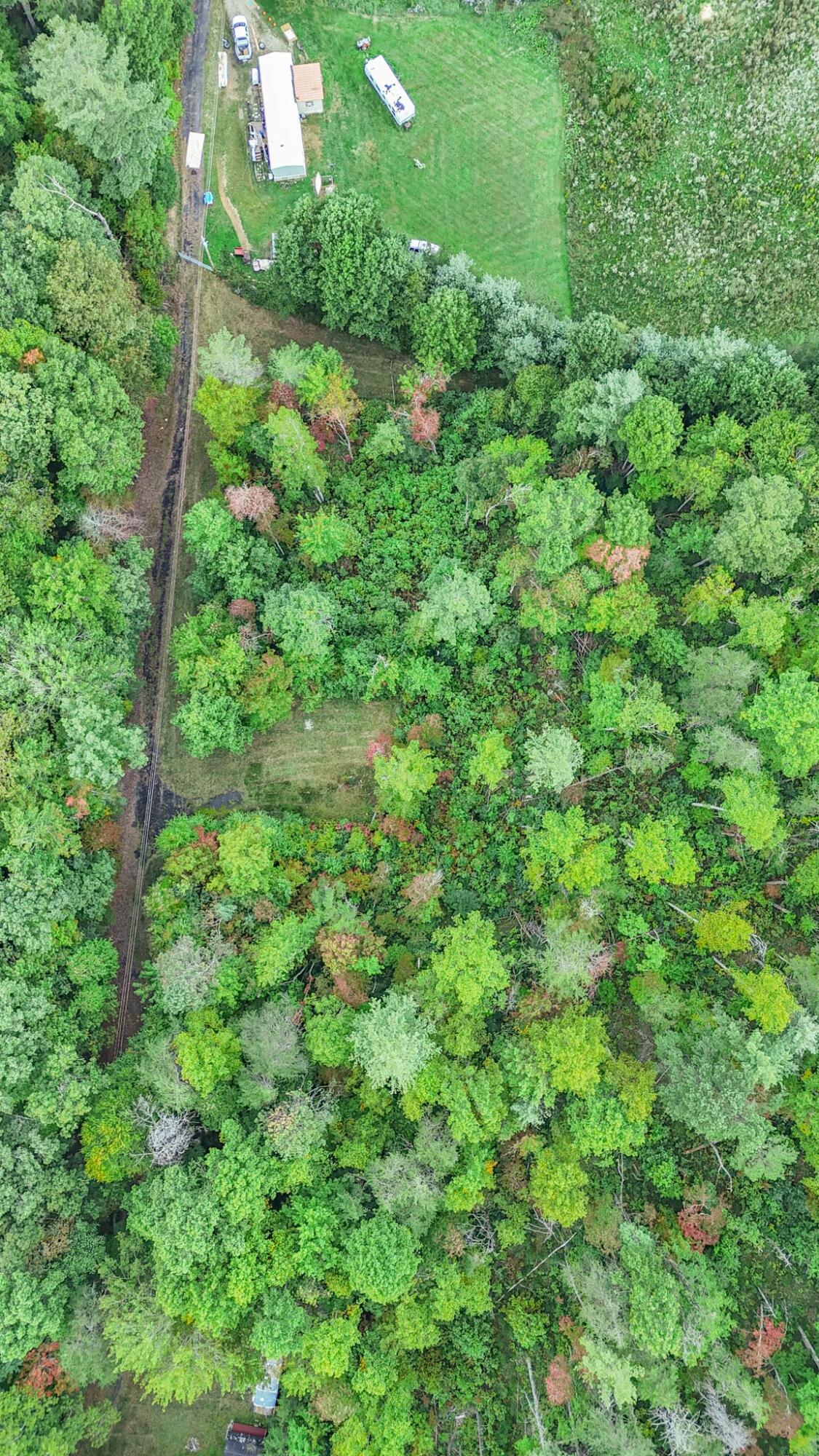 Tbd Grindstaff Road Butler, TN 37640 - Photo 13 of 24 DJI_20230928190009_0082_D