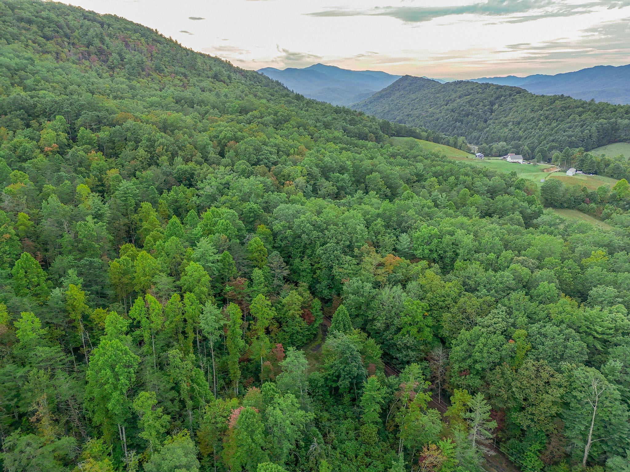 Tbd Grindstaff Road Butler, TN 37640 - Photo 18 of 24 PANO_0001