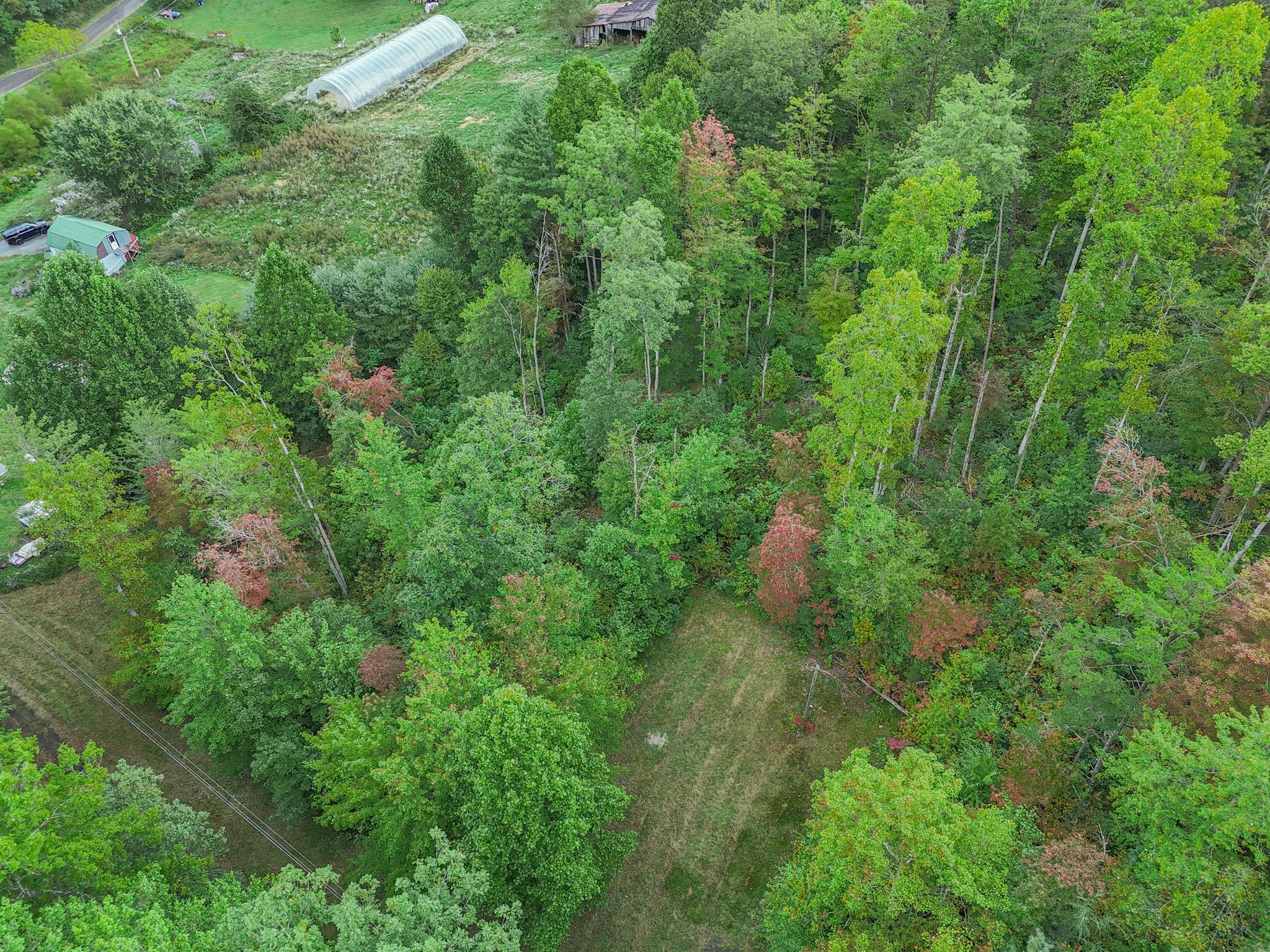 Tbd Grindstaff Road Butler, TN 37640 - Photo 20 of 24 PANO_0003 - Copy (2)