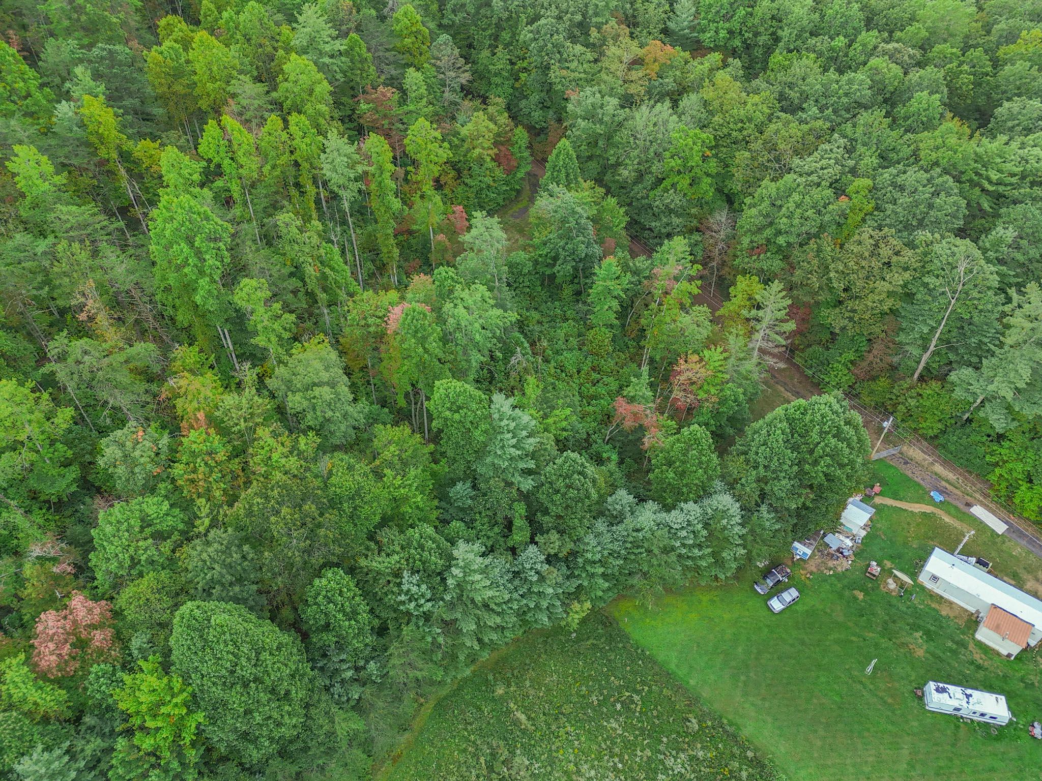 Tbd Grindstaff Road Butler, TN 37640 - Photo 23 of 24 PANO_0003