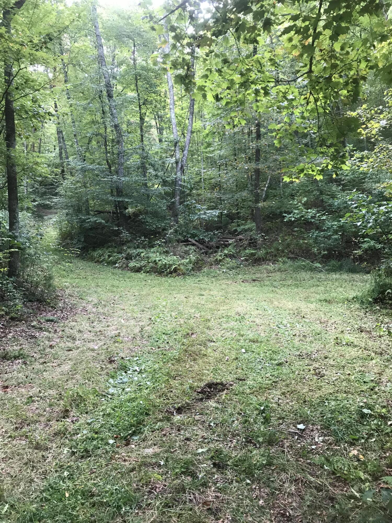 Tbd Grindstaff Road Butler, TN 37640 - Photo 7 of 24 IMG-5300