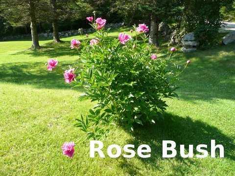 664 Buckfield Road Hebron, ME 04238 - Photo 16 of 21 Yard/Garden.