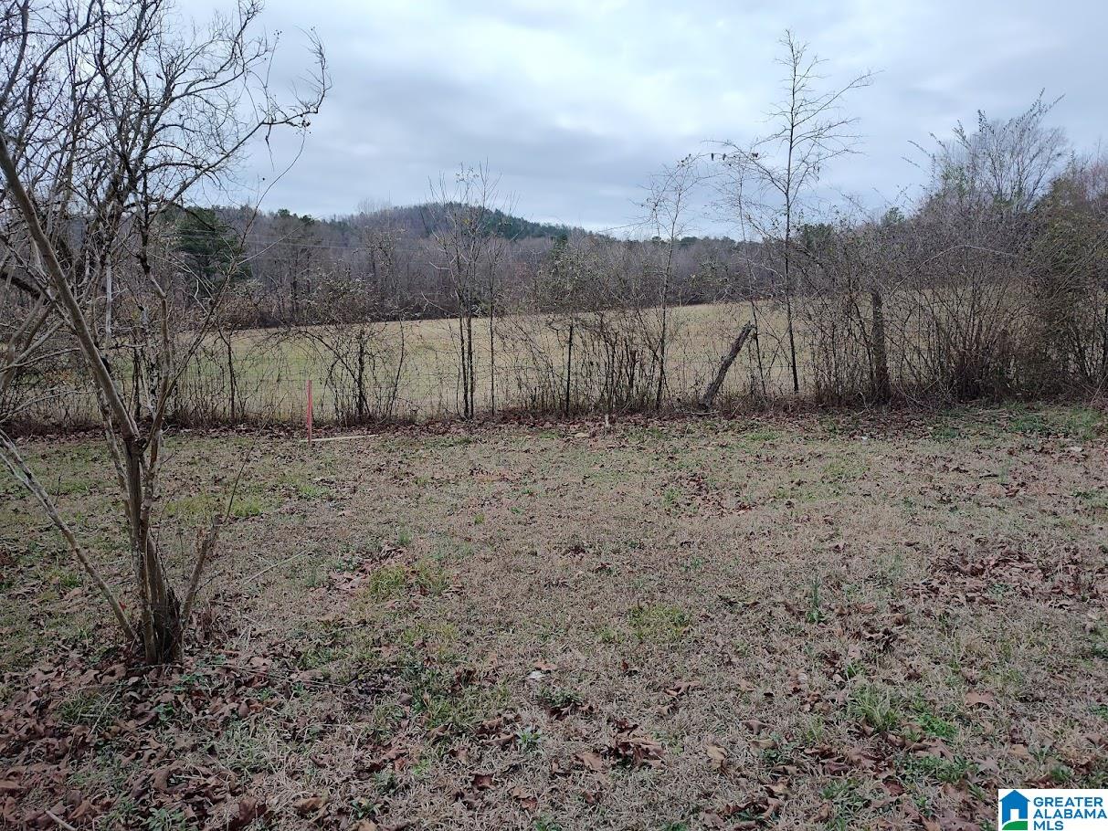 1322 Talladega Springs Road Sylacauga, AL 35151 - Photo 2 of 22