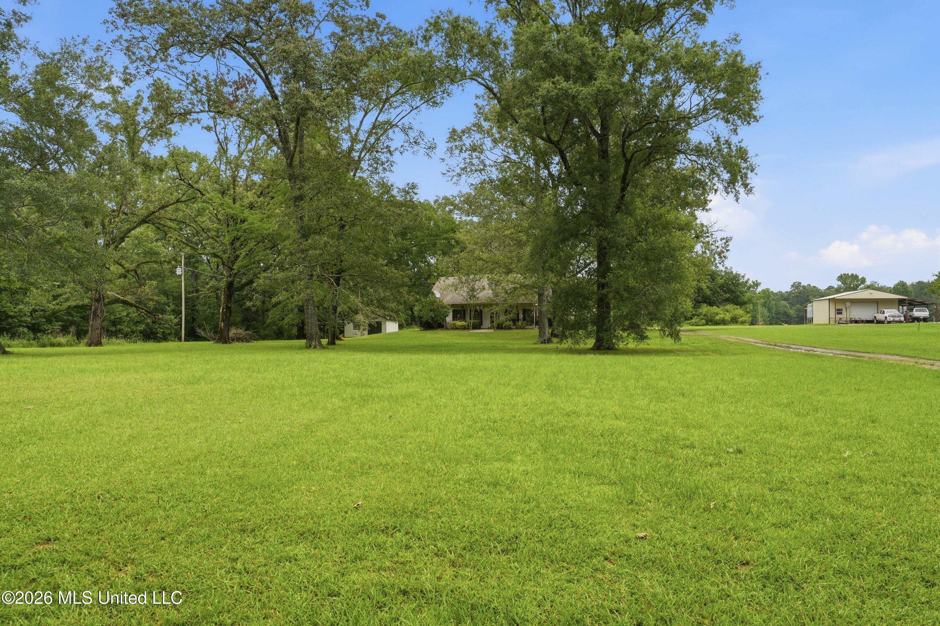 240 Mink Branch Road Morton, MS 39117 - Photo 6 of 29 240_Mink_Branch_Rd_039