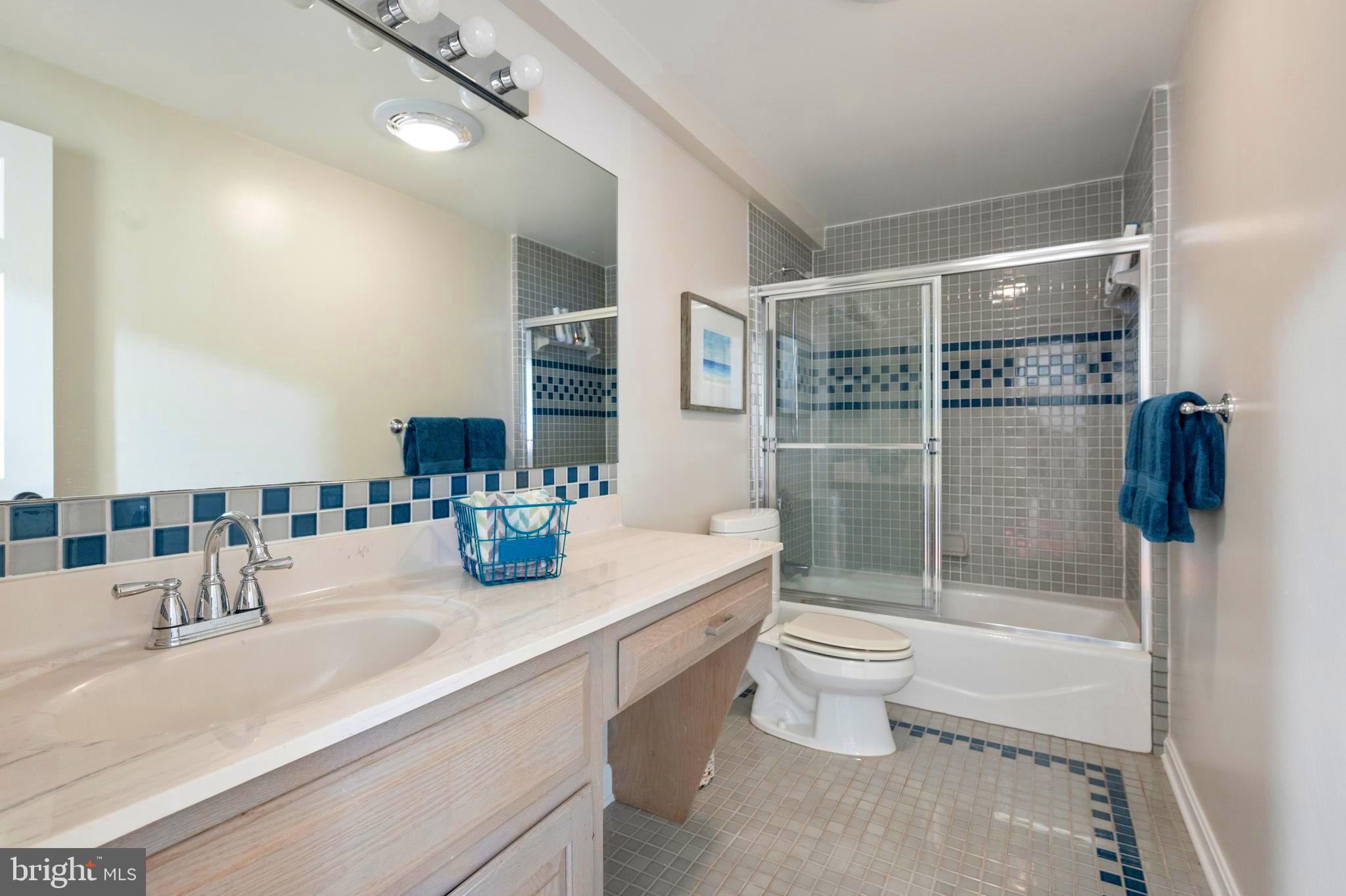 902 Emerald Drive Alexandria, VA 22308 - Photo 46 of 97 a bathroom with a sink a toilet and shower