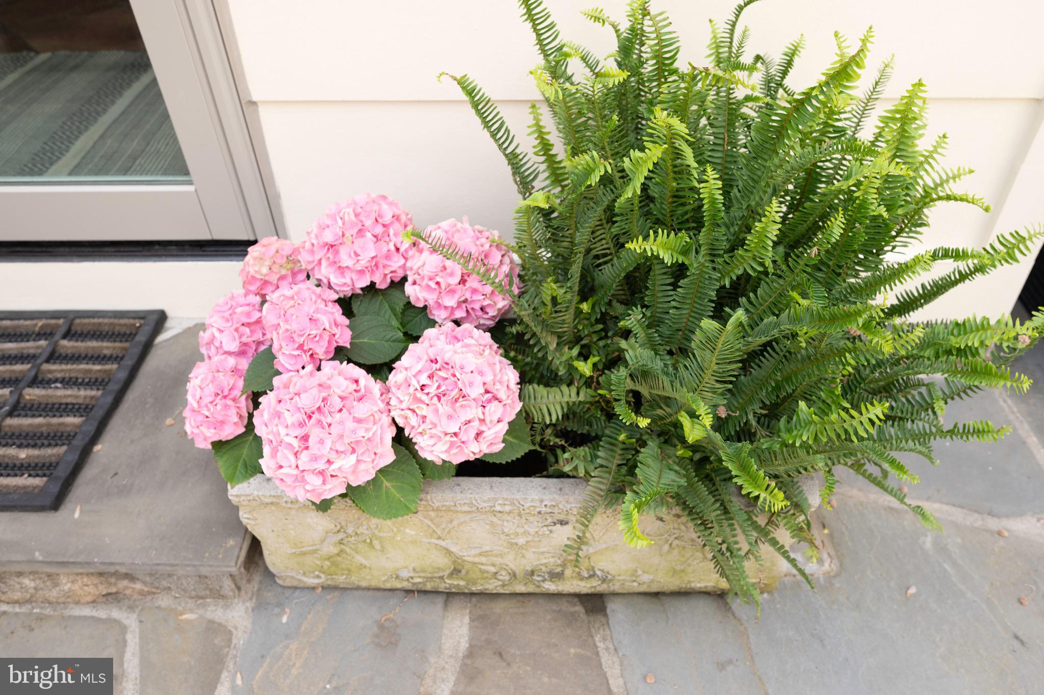 902 Emerald Drive Alexandria, VA 22308 - Photo 59 of 97