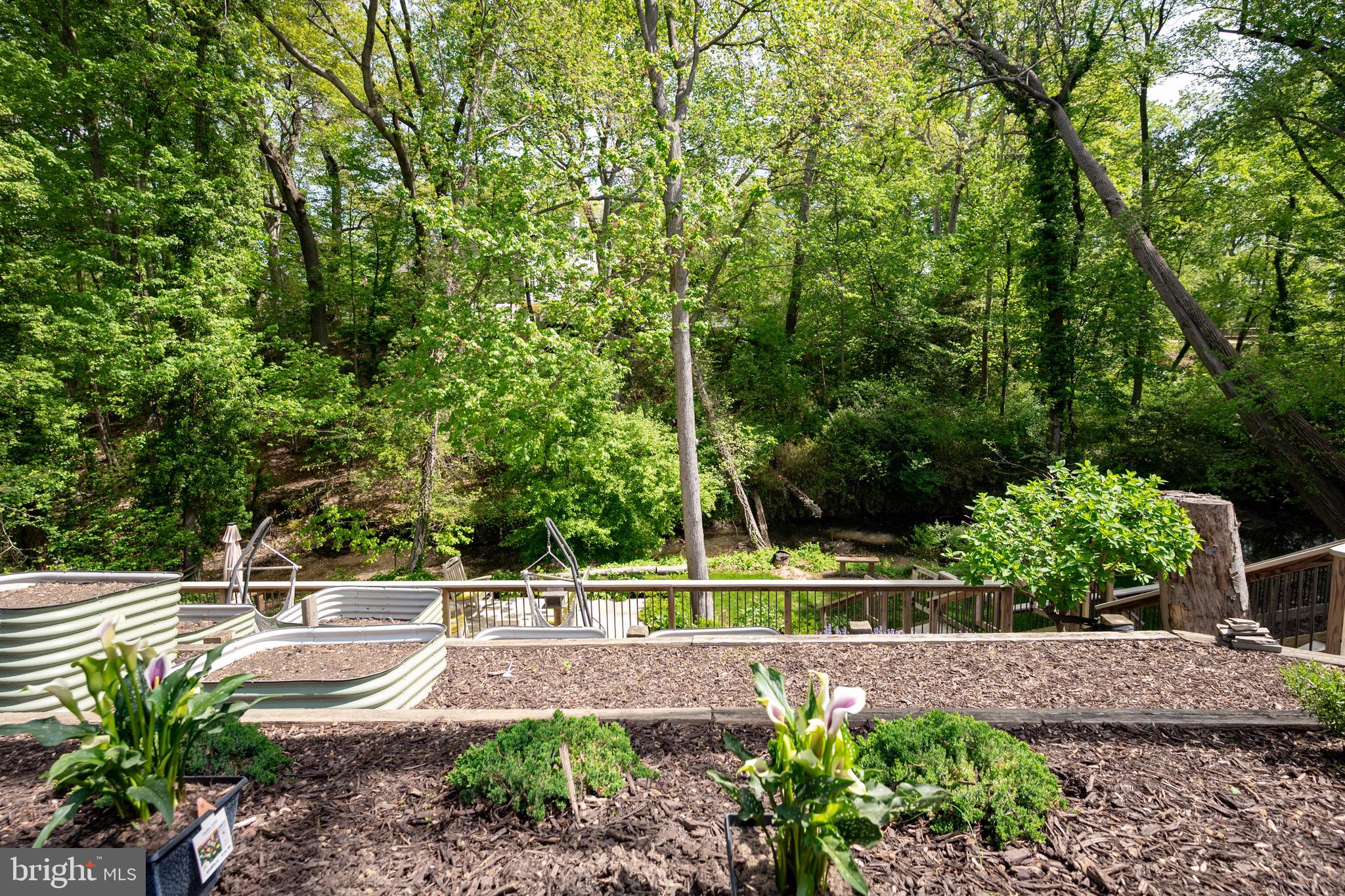 902 Emerald Drive Alexandria, VA 22308 - Photo 71 of 97 Tiered Gardens and Wooded Views