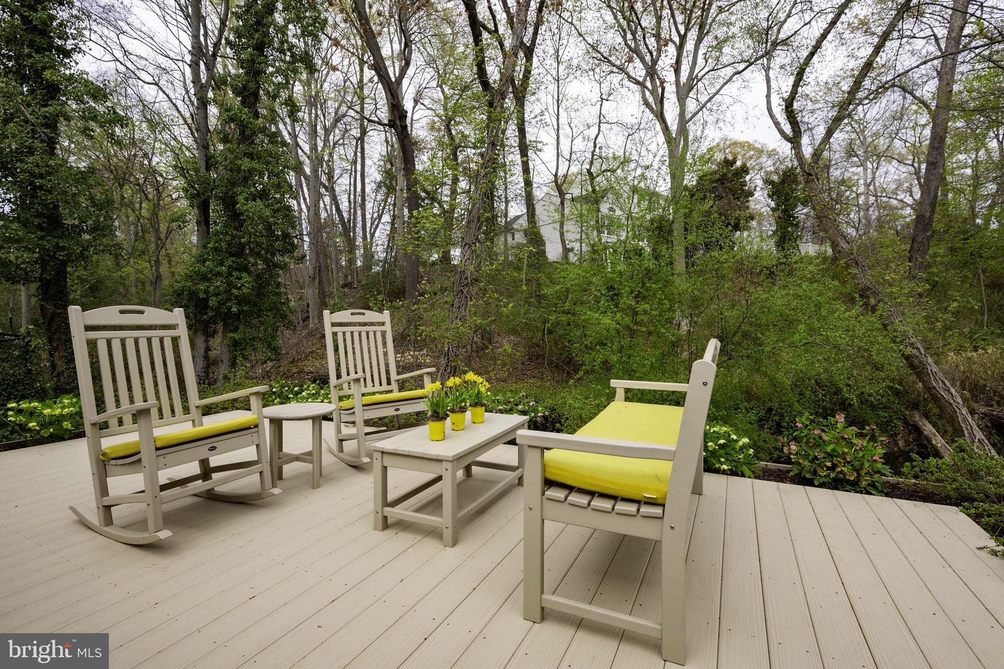 902 Emerald Drive Alexandria, VA 22308 - Photo 75 of 97 Lower Patio Next to Creek
