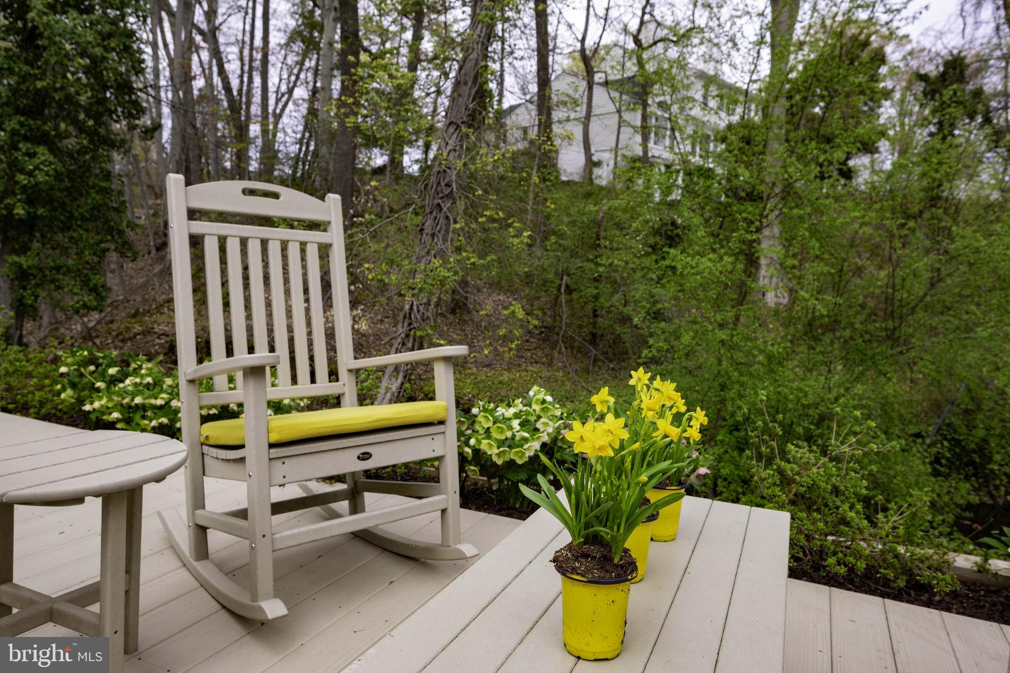 902 Emerald Drive Alexandria, VA 22308 - Photo 76 of 97 a view of a chairs and table in the backyard