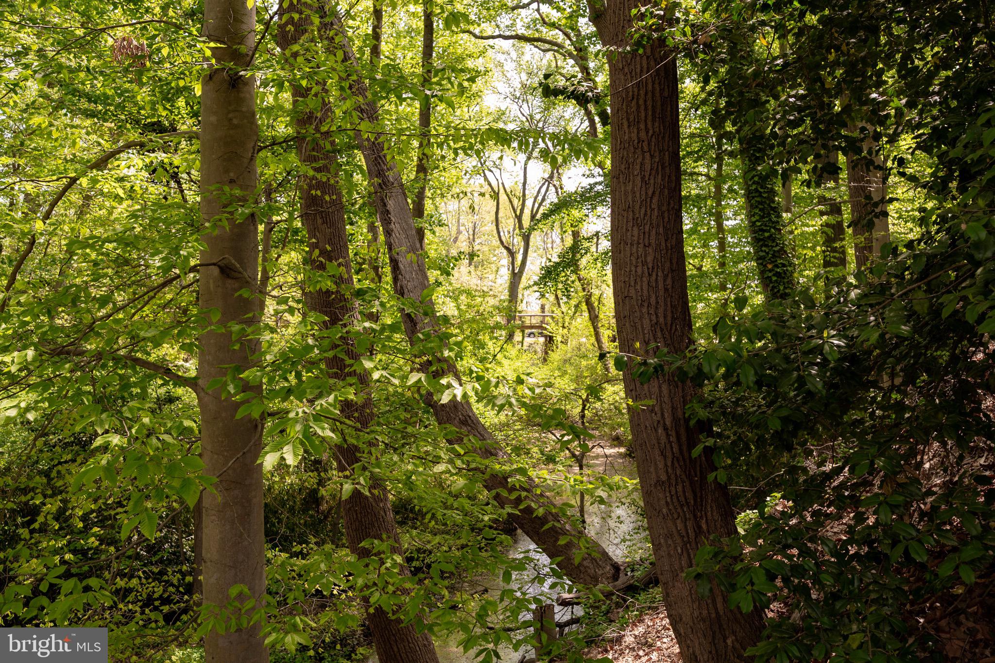 902 Emerald Drive Alexandria, VA 22308 - Photo 80 of 97