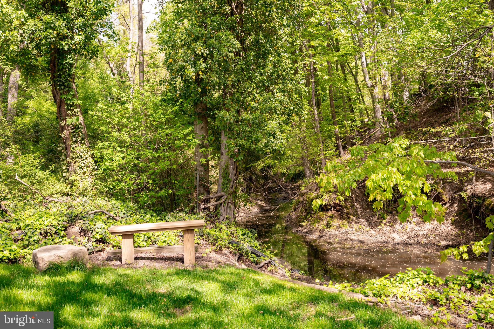 902 Emerald Drive Alexandria, VA 22308 - Photo 81 of 97 a view of a yard with a tree