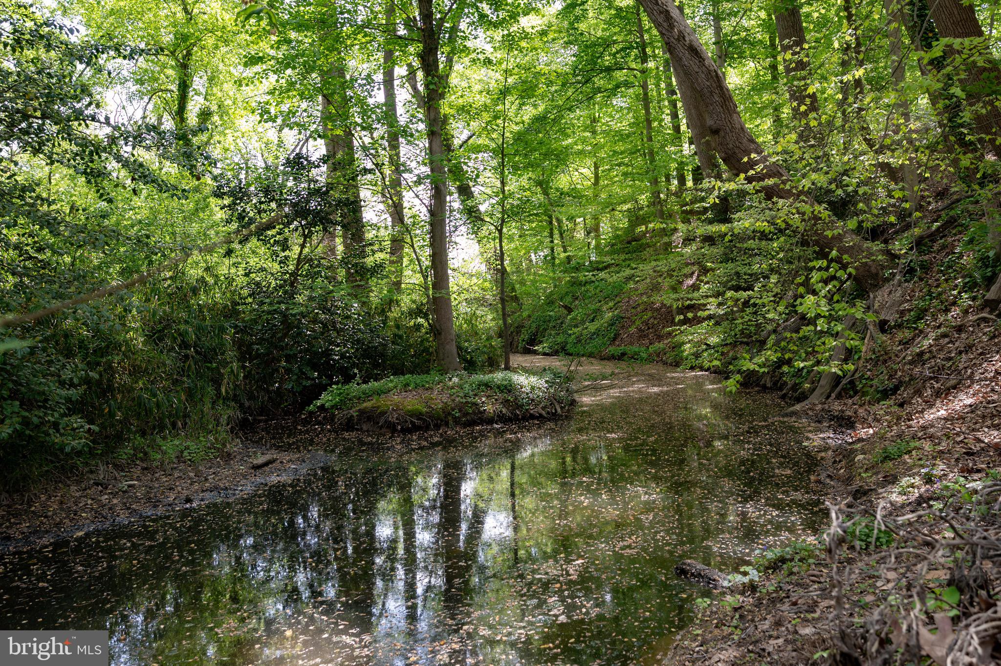 902 Emerald Drive Alexandria, VA 22308 - Photo 82 of 97