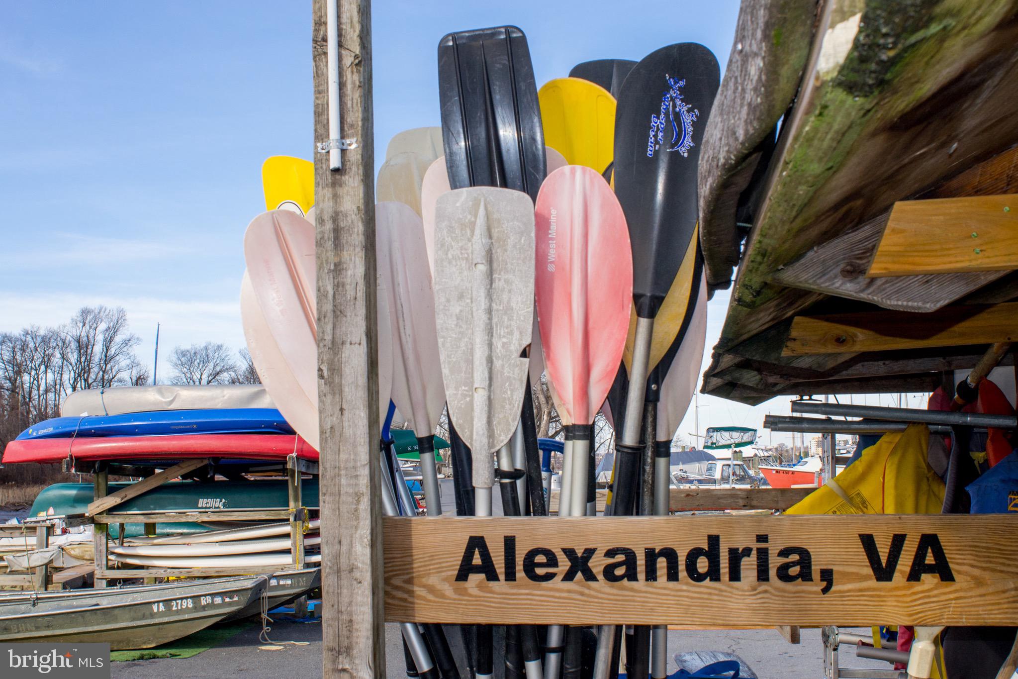 902 Emerald Drive Alexandria, VA 22308 - Photo 92 of 97