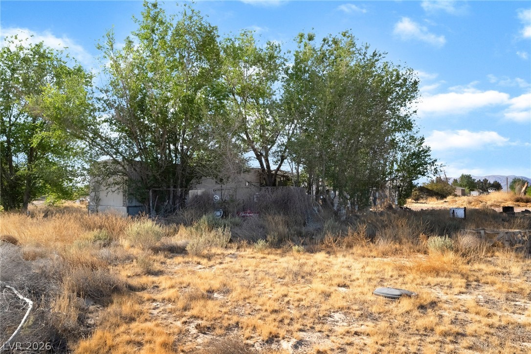 2350 Shawnee Street Sandy Valley, NV 89019 - Photo 16 of 38 View of undeveloped land