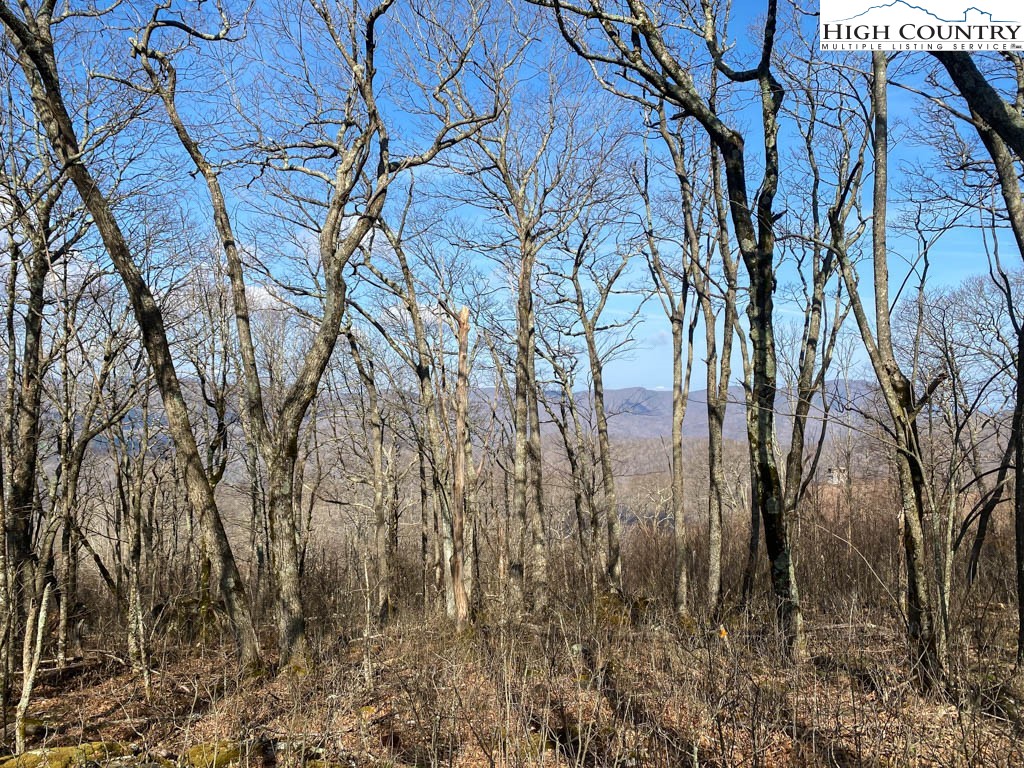 Lot 10 Crown Point Road West Jefferson, NC 28694 - Photo 11 of 24 Gallery Image 11