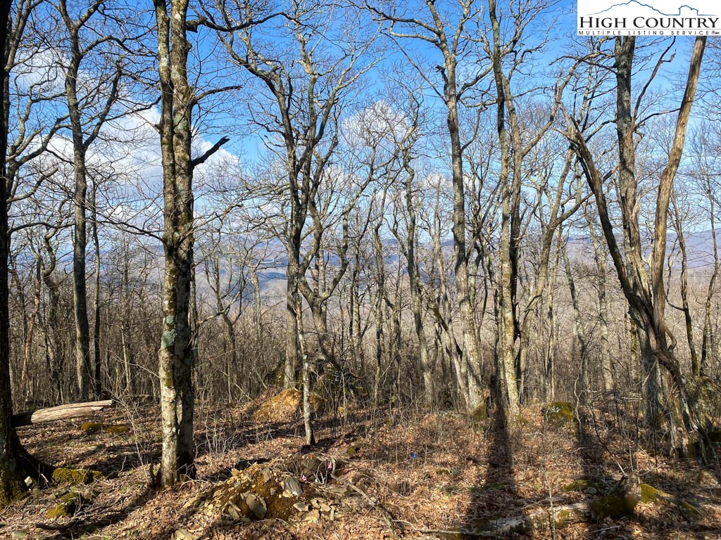 Lot 10 Crown Point Road West Jefferson, NC 28694 - Photo 12 of 24 Gallery Image 12