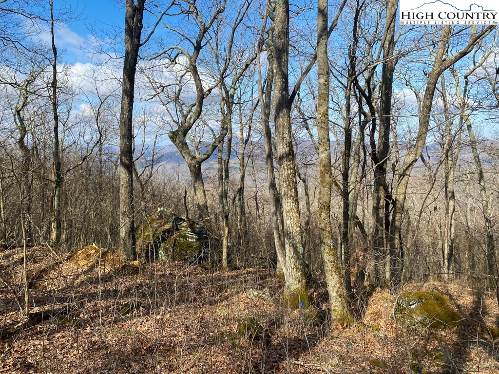 Lot 10 Crown Point Road West Jefferson, NC 28694 - Photo 17 of 24 Gallery Image 17