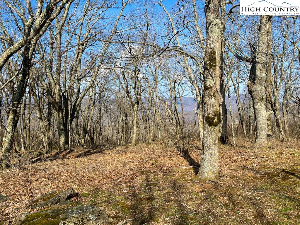 Lot 10 Crown Point Road West Jefferson, NC 28694 - Photo 19 of 24 Gallery Image 19